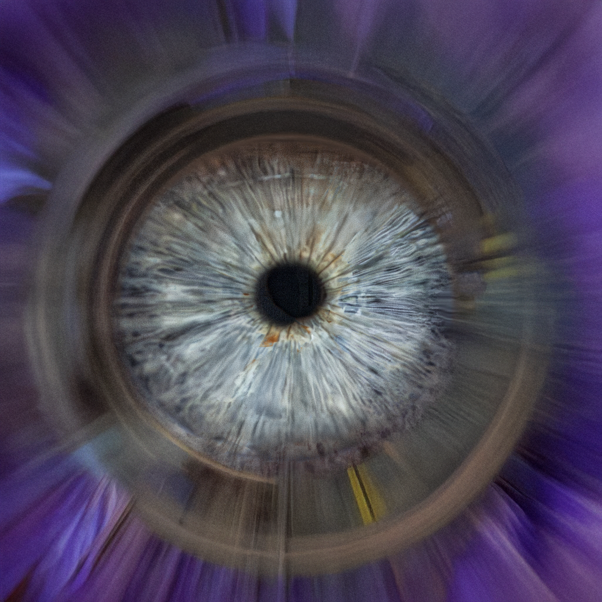 Iris-Fotografie lila